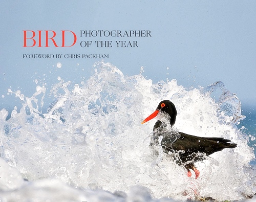 Bird Photographer of the Year: Collection 5