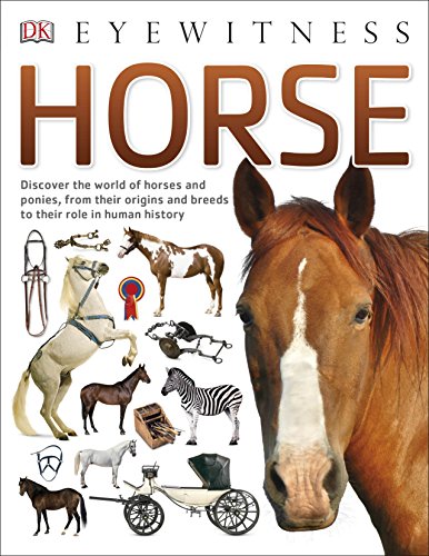 Horse (Eyewitness)