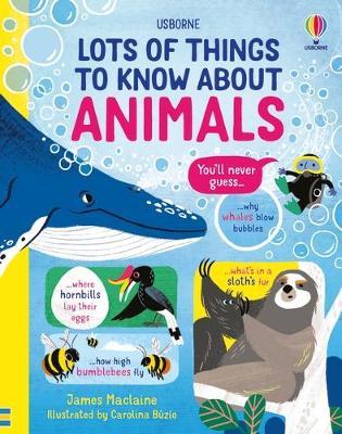 Lots of Things to Know About Animal