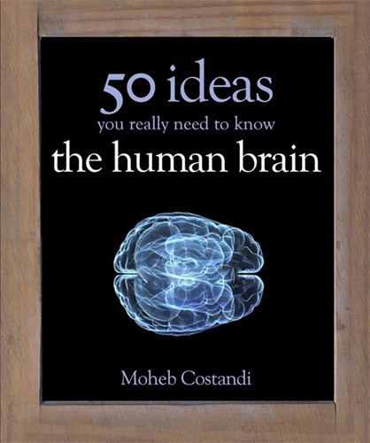 50 Ideas You Really Need to Know: Human Brain