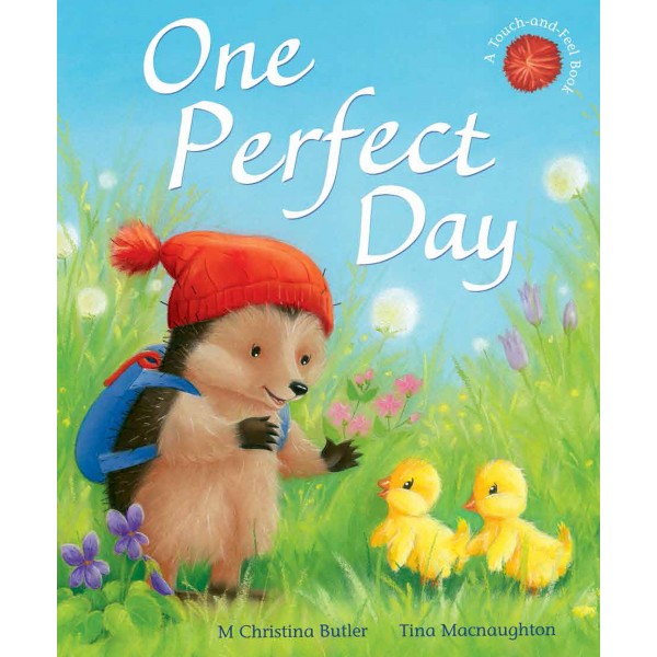 One Perfect Day (Little Hedgehog)