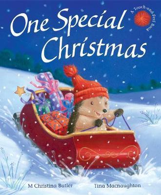 One Special Christmas (Little Hedgehog)