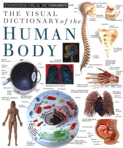 Visual Dictionary of the Human Body