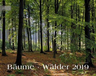 Baeume - Waelder 2019